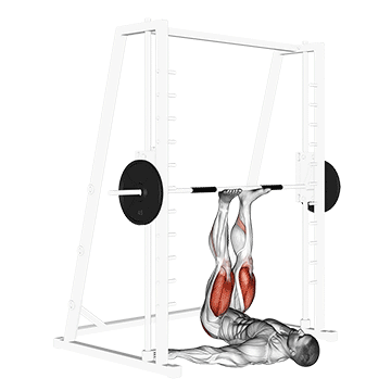 Presse à cuisses à la Smith machine
